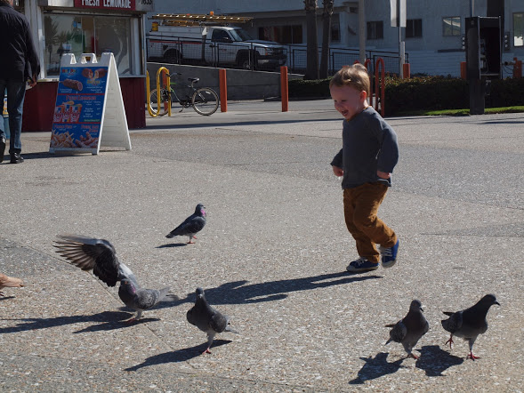 2-13_IanPier Feb 1, 2013 12-048