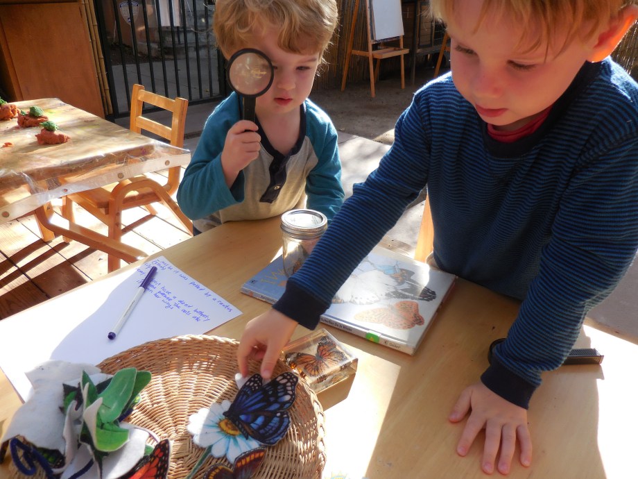 16817049586_c3ab04d7d6_k