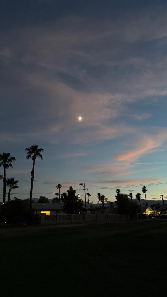 A serene evening sky with scattered clouds and the moon visible, silhouetted palm trees in the foreground.